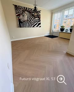 Vloar