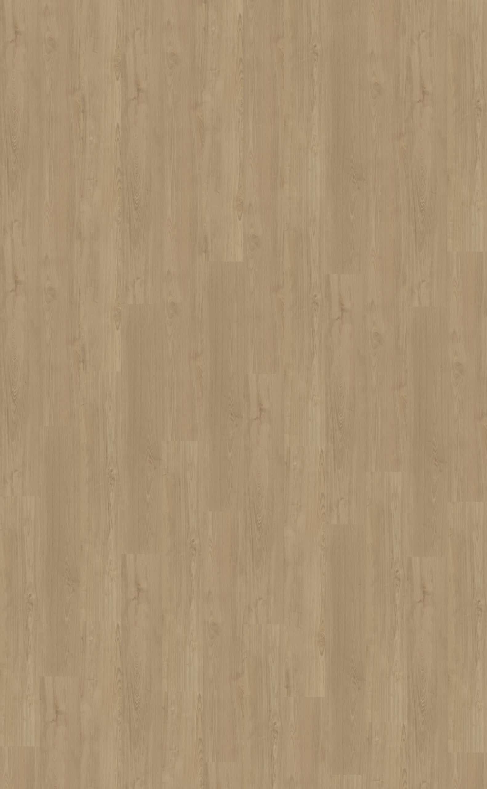 Belakos - Portico 540 Rigid Click